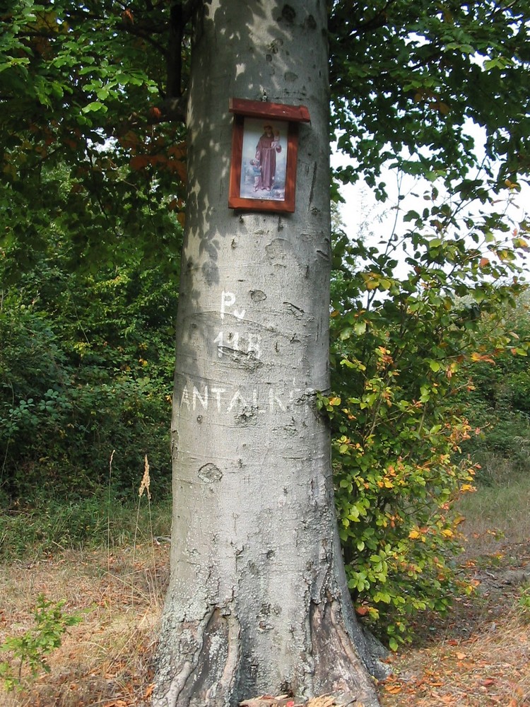 antalkep