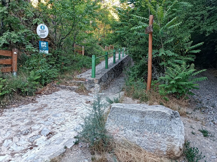 tettye kapu