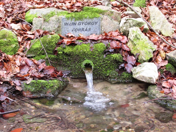 wein gyorgy forras2