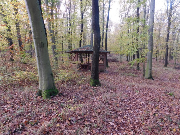 geocaching forras piheno