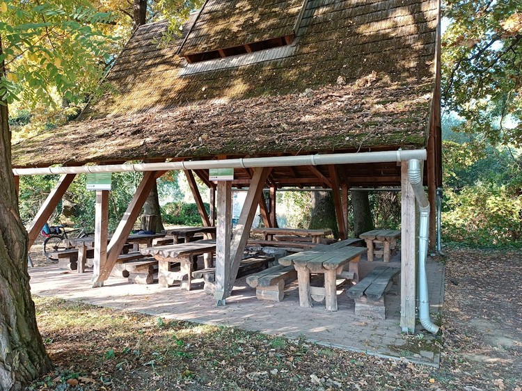 kisinci piheno