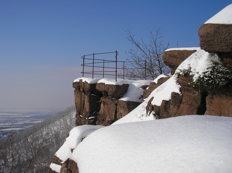 zsongorko